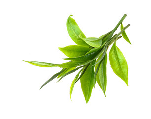 Young green tea leaves Isolated on a white background. Top view