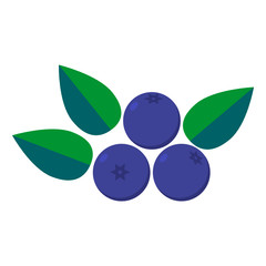 vector illustration of bluberry and green leaf