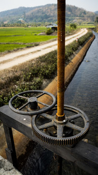 wheel