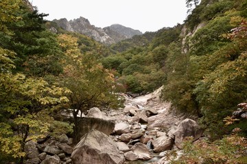 Mountain Valley View, Seoraksan National Park, South Korea