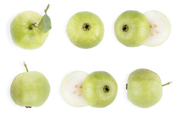 Collection of green guava. Tropical abstract background. Guava isolated on white background.