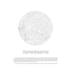 Abstract topographic map in a circle form.