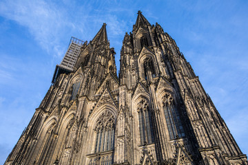 Fototapeta premium Cologne Cathedral in Germany
