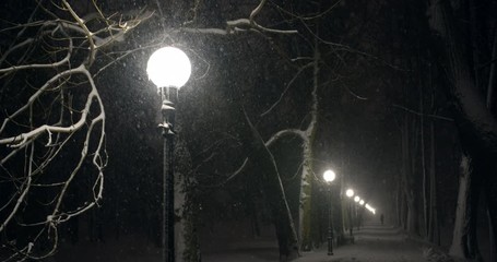 Street lights illuminating falling snow in city park at night in winter - Powered by Adobe