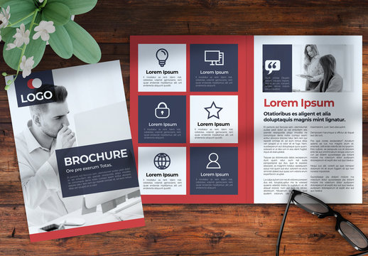 Red and Navy Blue Brochure Layout