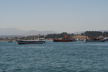 barcos