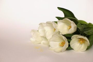 Fototapeta na wymiar Bouquet of white tulips is...ed on white background