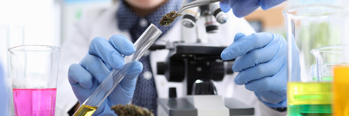 Close-up view of persons hand putting dry sample of cannabis into flask with liquid. Tubes with colourful substances on table. Modern microscope. Lab concept