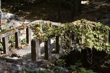Korean Stone Footbridge with Foliage, Full Shot, Seoraksan National Park, South Korea