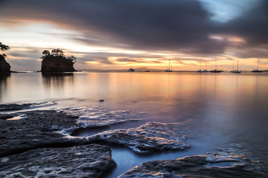 Waiake beach Auckland New Zealand