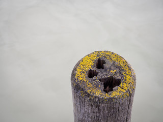 Wooden pile on a jetty on lake neusiedlersee
