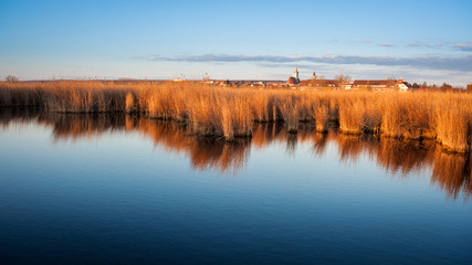 Reed belt near village of Rust at Neusiedlersee