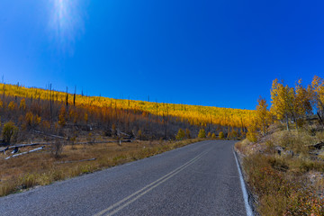 Autumn at the north rim of grand canyon national park 