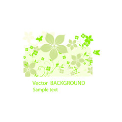 background with green leaves and flowers