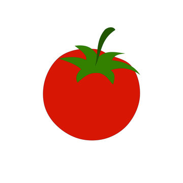 Tomato. Isolated vegetables. Vector illustration