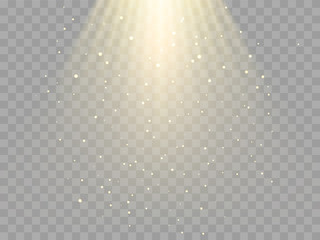 Vector illustration. Shiny rays of light isolated on  transparent background for poster or banner