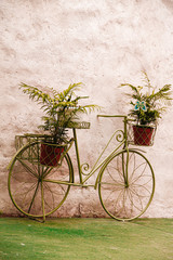 Stary zielony rower z zawieszonymi doniczkami z kwiatami