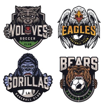 Soccer and baseball teams vintage badges