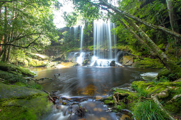 waterfall in forest