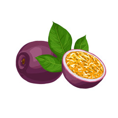 Hand drawn colorful passion fruit. Set sketches with cut passion fruit and leaf. Vector illustration isolated on white background.