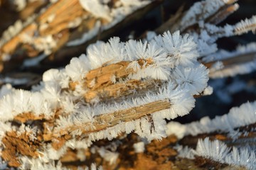 The first autumn frosts, frosty morning.
