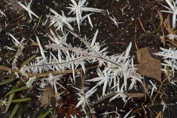 The first autumn frosts, frosty morning.