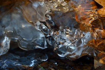 The first autumn frosts, frosty morning.