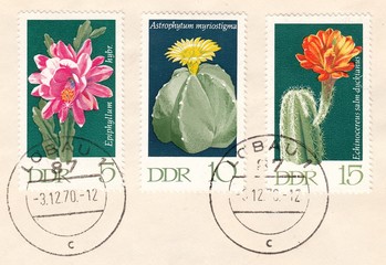 Cacti : Sheet cactus, Mitre, Hedgehog's cactus, stamp Germany 1970