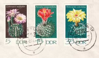 Cacti : Echinopsis multiplex, Parodia sanguiniflora, Notocactus concinnus, stamp Germany 1974