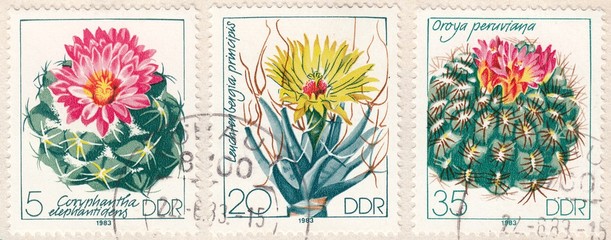 Cacti : Coryphantha elephantidens, Leuchtenbergia principis, Oroya peruviana, stamp Germany 1983