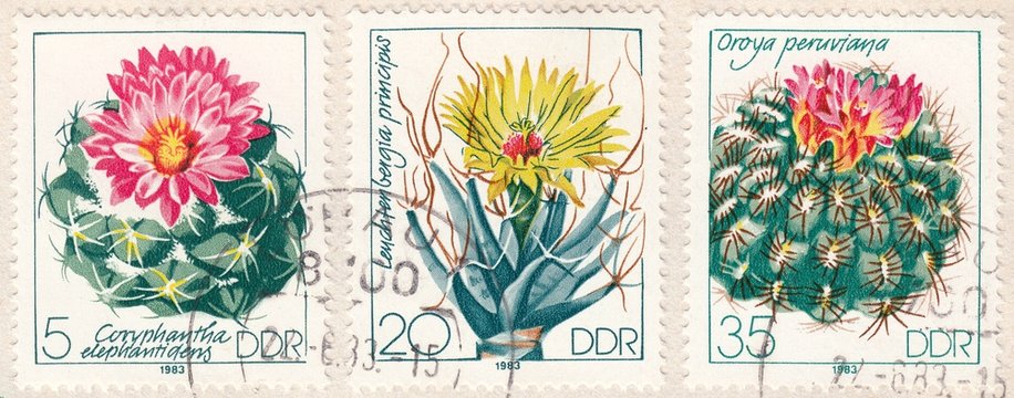 Cacti : Coryphantha elephantidens, Leuchtenbergia principis, Oroya peruviana, stamp Germany 1983