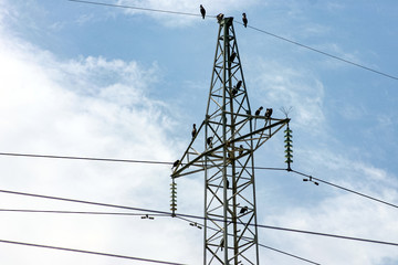 High voltage electrical pole. Birds are perched on it and on the wires. - 329843852
