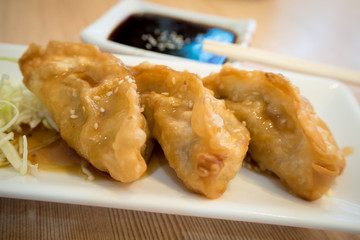Gyoza