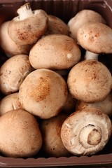 Fresh brown mushrooms in a package macro 