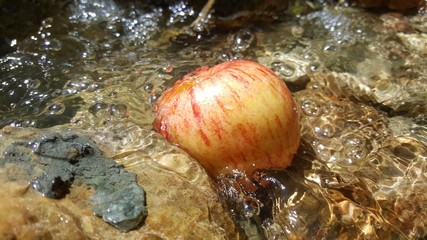 Apfel im Bach