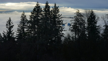 Burnaby high-rise enveloped in cloud inversion