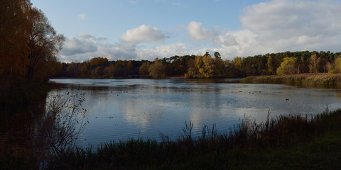 Walking through the forest, beautiful panorama.
