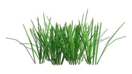 3D Rendering Patch of Grass on White