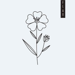 Vector illustration of flax flower drawn in outline style isolated on grey background. Herbal botanic drawing of linen plant for print, logo, emblem. Nutritional supplement or textile fiber theme.