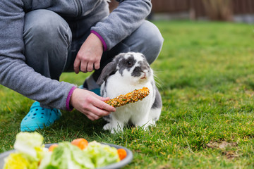 woman kneels beside a pet rabbit in front of a feeding dish