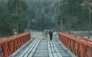 Wooden bridge and donkey Andes Peru