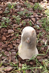 sculture