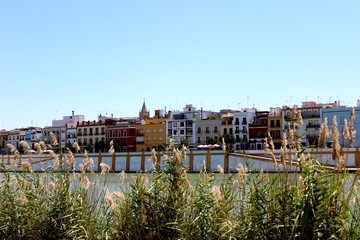Fototapeta na wymiar Canal de Alfonso Seville Spain