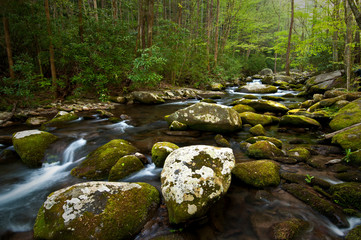 Early spring morning on the Middle Prong of the Little River, Smoky Mountains National Park, Tennessee.