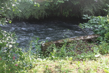 MA PETITE EST COMME L'EAU....