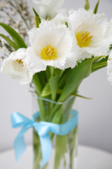 Fototapeta na wymiar Bouquet of white fringed tulips with blue satin bow
