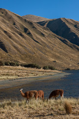 Highlands at Buenos Aires Peru Andes