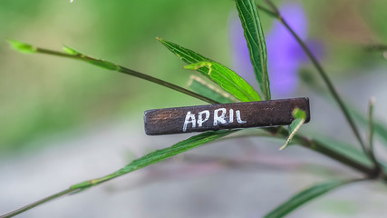 Block with the inscription April. Beautiful floral nature spring abstract background. Spring concept