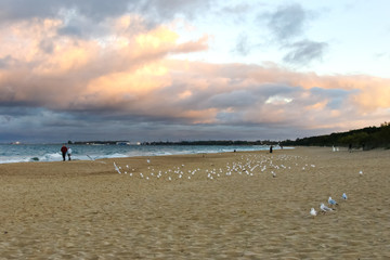 Fototapeta na wymiar Beach, sand, seagulls, sea and a walking older couple