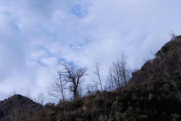 Italia : Paesaggio montano,Campania,10 Marzo 2020.